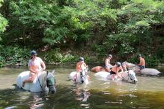 IMG-20260712-WA0056