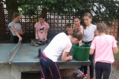 SAM_8976