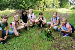 IMG_20200720_104548