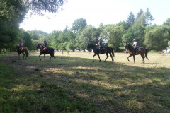 SAM_9677