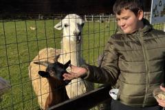 IMG-20251110-WA0044