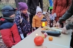 IMG_20231110_165015